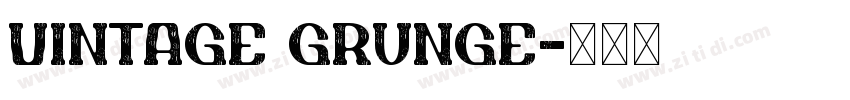 Vintage Grunge字体转换